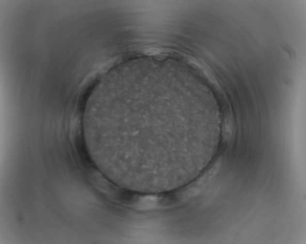 X0000113550473200910091308