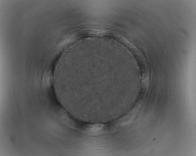 X0000113550474200910091308