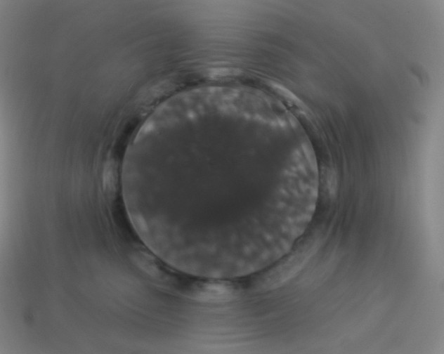 X0000113550475200910091308