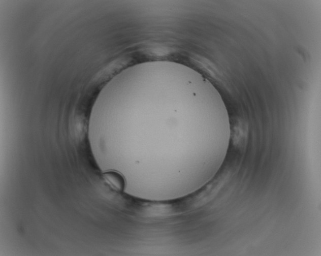 X0000113550476200910091308