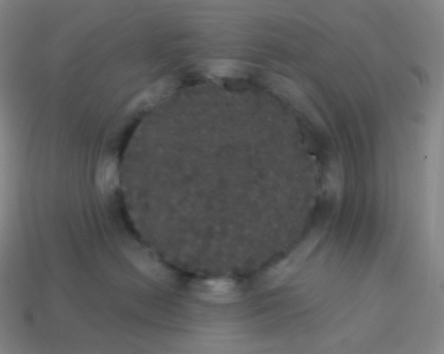 X0000113550478200910091308