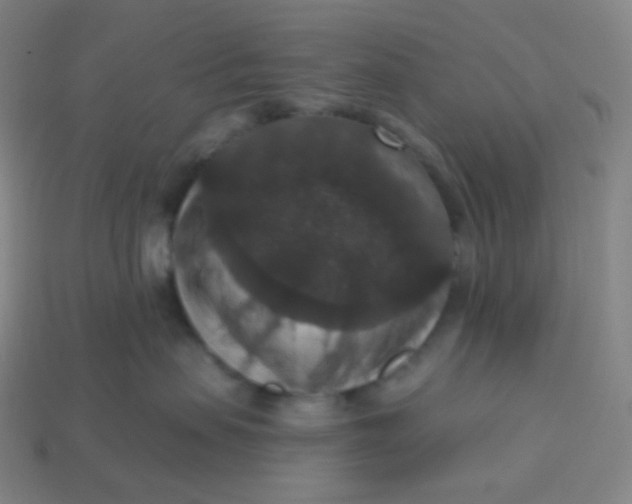 X0000113550479200910091308