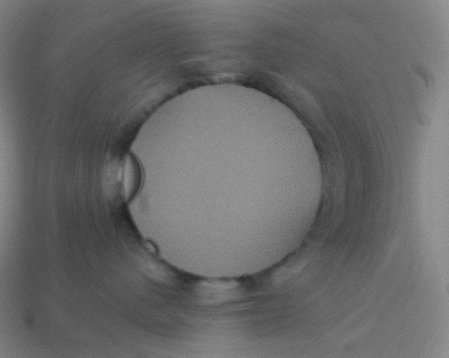 X0000113550480200910091308