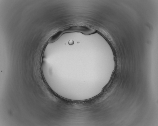 X0000113550481200910091307