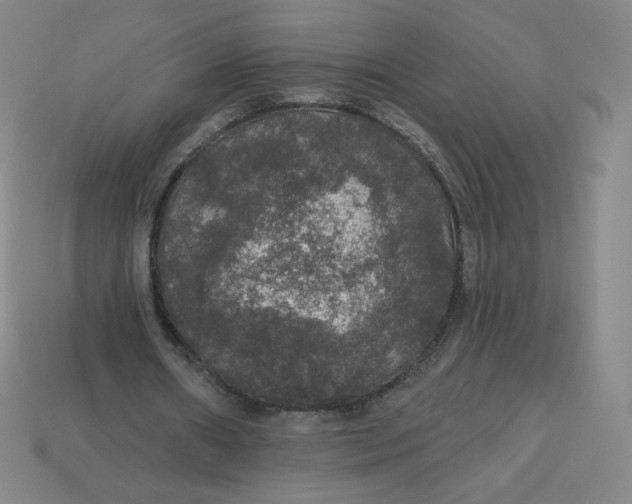 X0000113550482200910091307