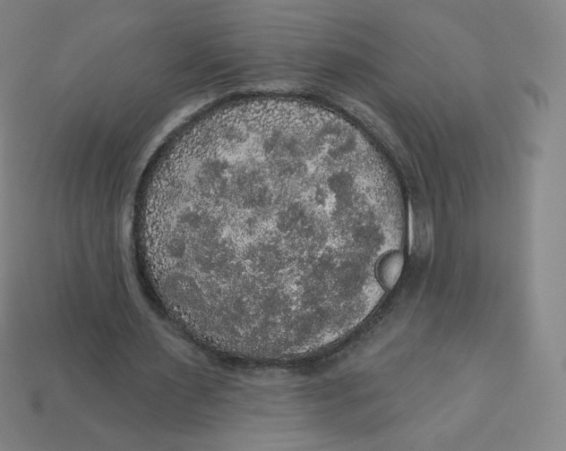 X0000113550483200910091307