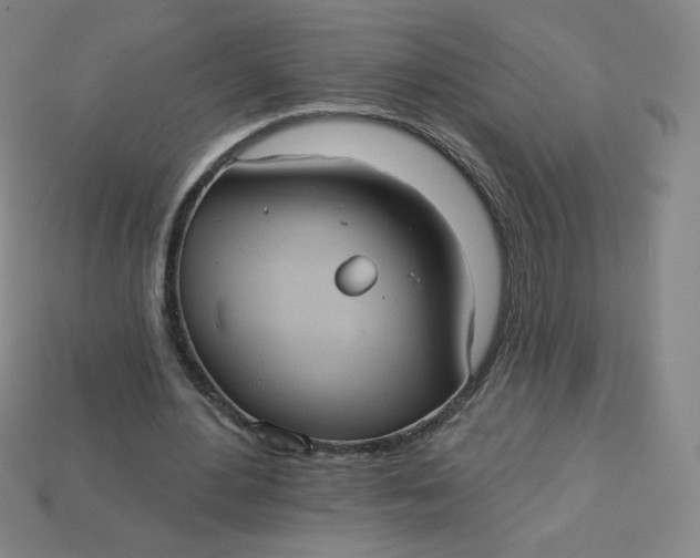 X0000113550484200910091307