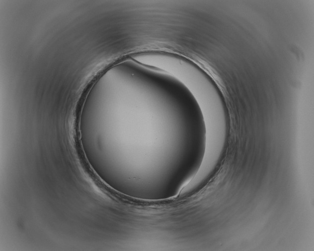 X0000113550485200910091307