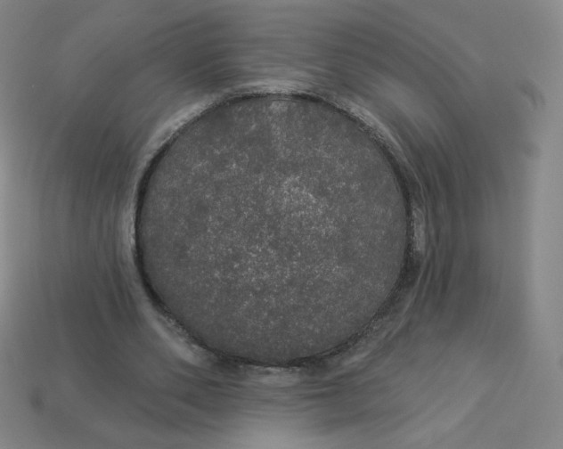 X0000113550486200910091307