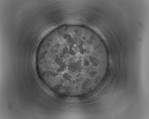 X0000113550487200910091307