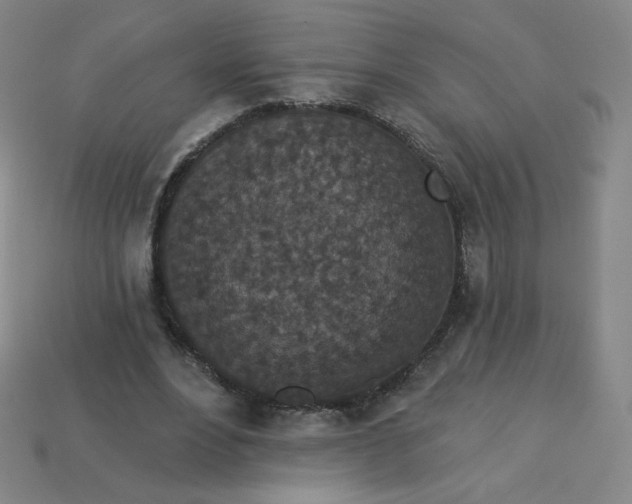 X0000113550488200910091307