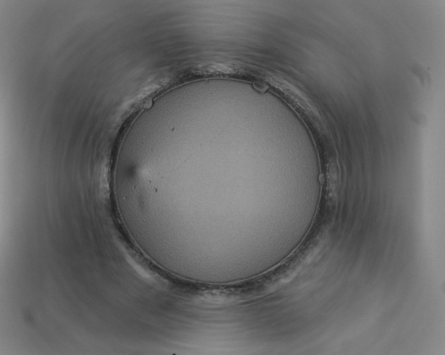 X0000113550489200910091307