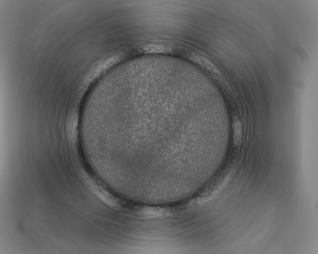 X0000113550490200910091307