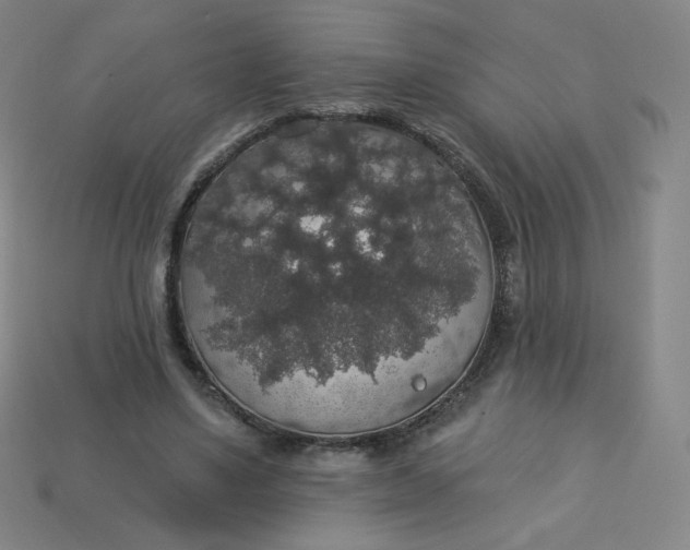 X0000113550491200910091307