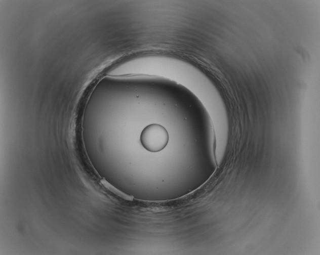 X0000113550492200910091307