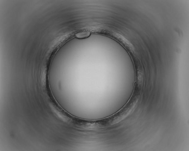 X0000113550493200910091307