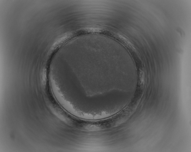 X0000113550494200910091307