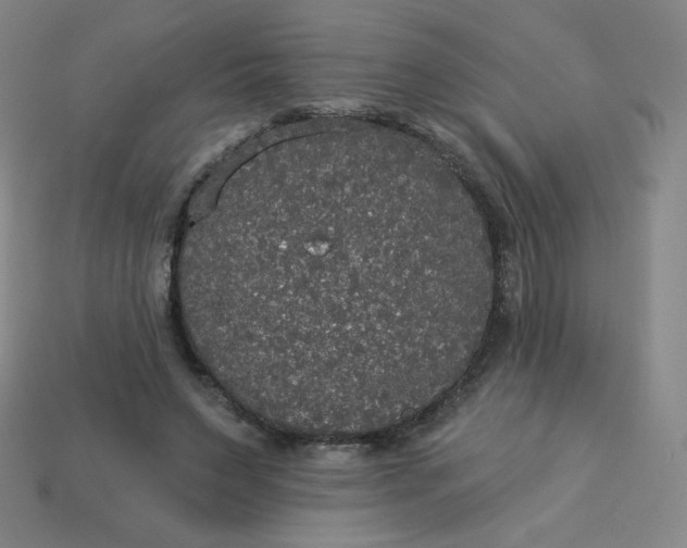 X0000113550495200910091307