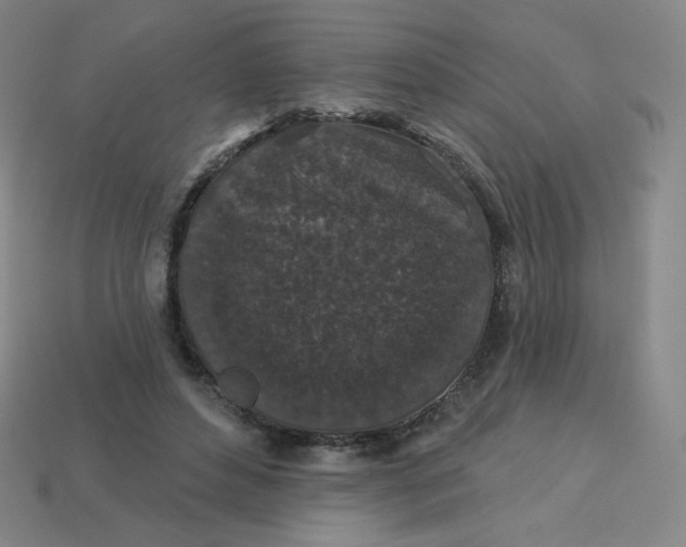 X0000113550496200910091307