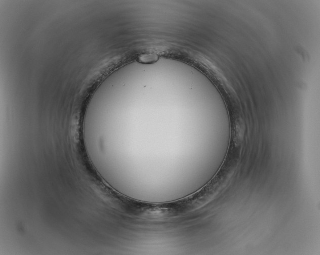 X0000113550497200910091307