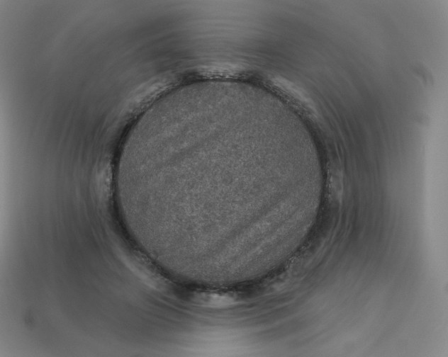 X0000113550498200910091307