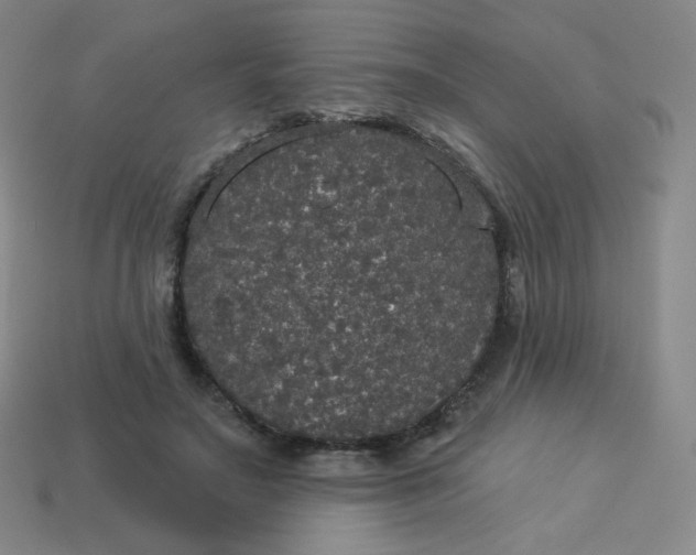 X0000113550499200910091307