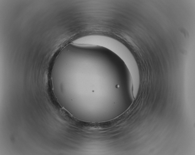 X0000113550500200910091307