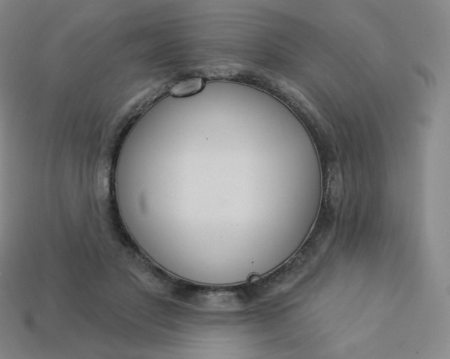 X0000113550501200910091307