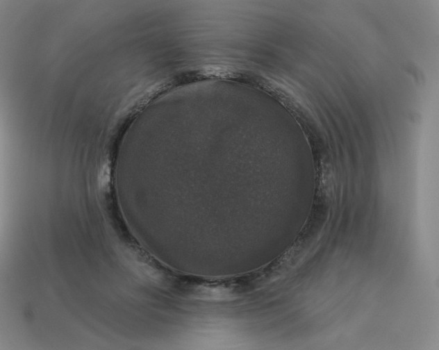 X0000113550502200910091307