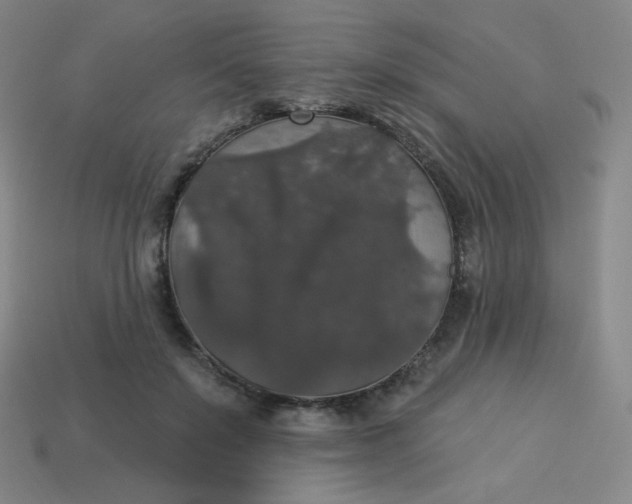 X0000113550503200910091307