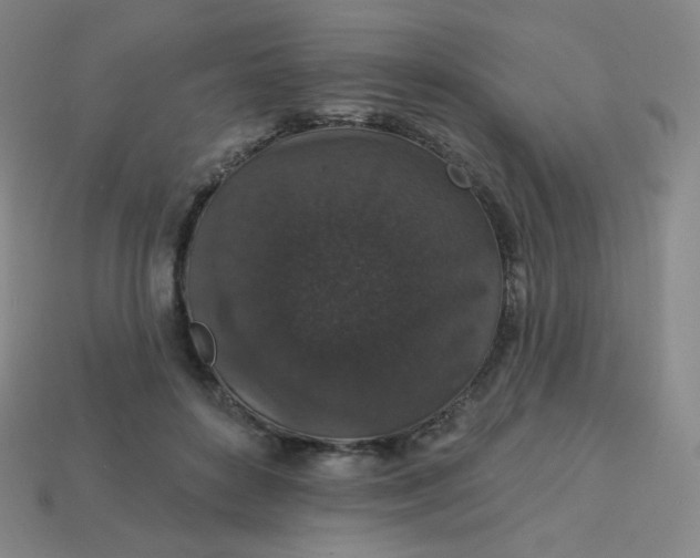 X0000113550504200910091307