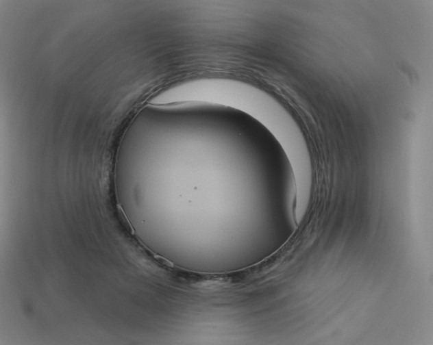 X0000113550505200910091307