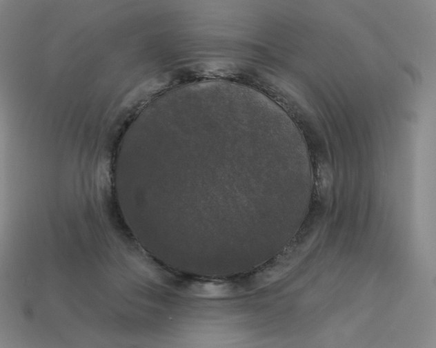 X0000113550506200910091307