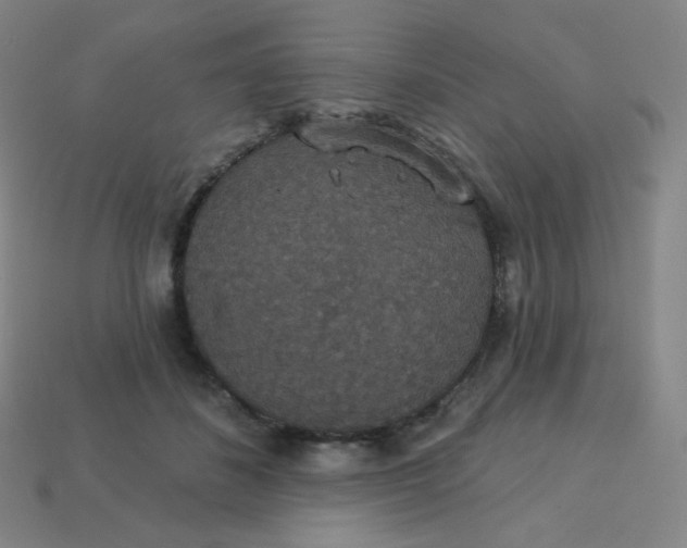 X0000113550508200910091307