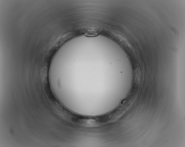 X0000113550509200910091307