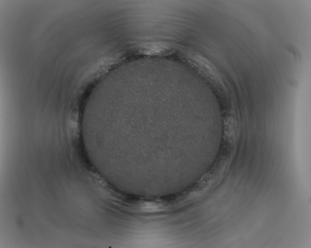 X0000113550510200910091307