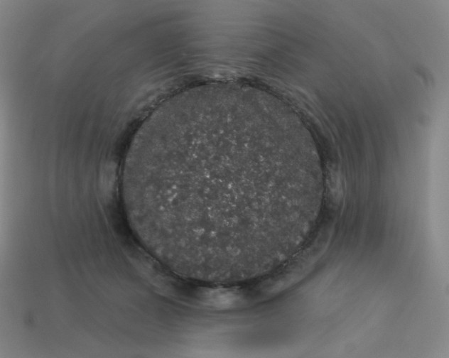 X0000113550511200910091307