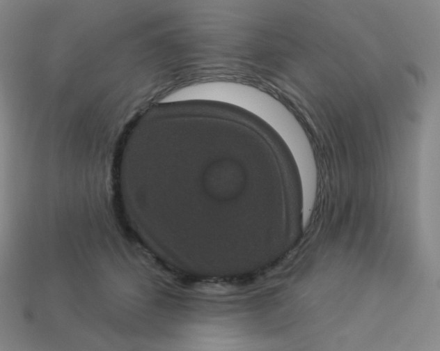 X0000113550512200910091307