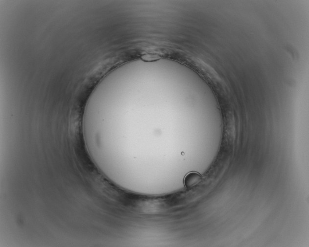 X0000113550513200910091307