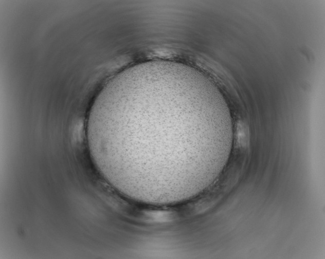 X0000113550514200910091307