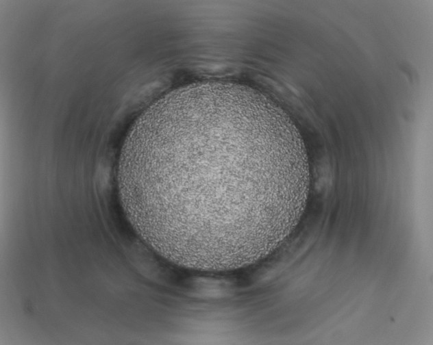 X0000113550515200910091307