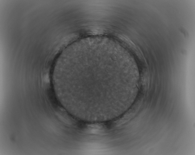 X0000113550516200910091307