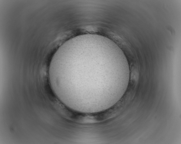 X0000113550518200910091307