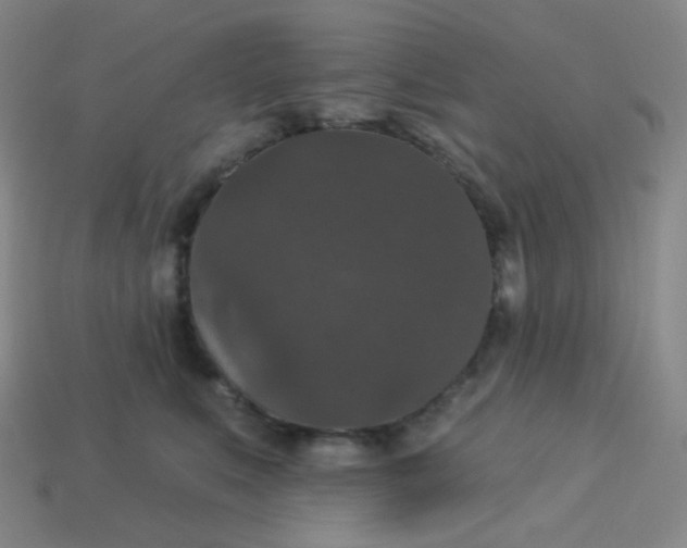 X0000113550519200910091307