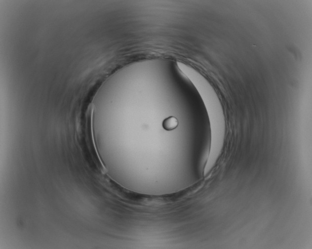 X0000113550520200910091307