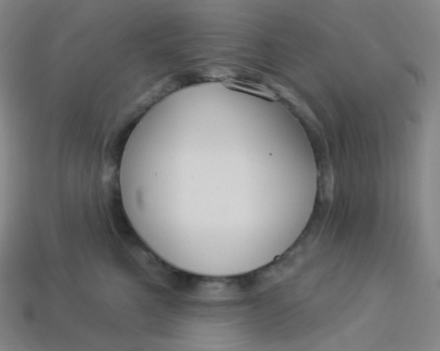 X0000113550521200910091307