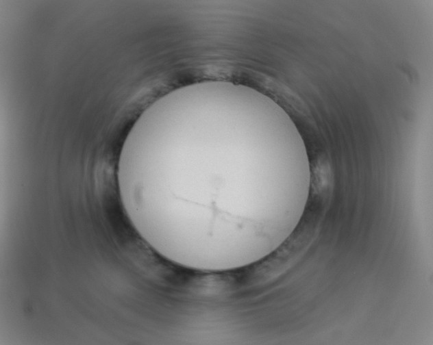 X0000113550522200910091307