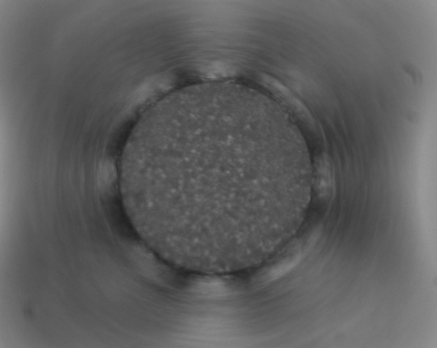 X0000113550523200910091306