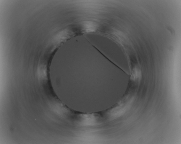 X0000113550524200910091306