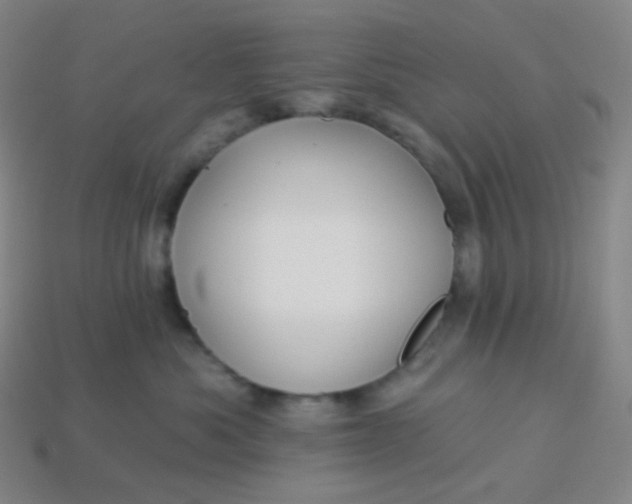 X0000113550525200910091306